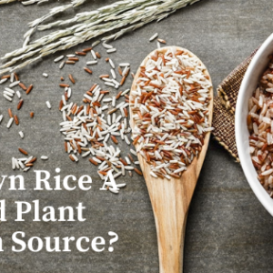 Is Brown Rice A Good Plant Protein Source?